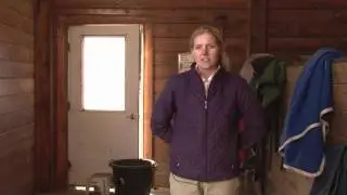 Horses Care & Grooming : Basic Horse Information