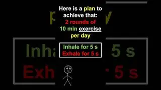 Daily Meditation Exercise for Enhancing the Attention Span and the Focus Muscle