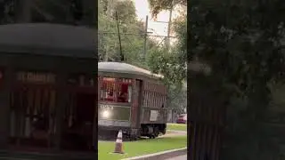 Streetcar cruising down St Charles Avenue in Uptown New Orleans #streetcar #train #railway
