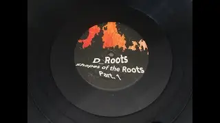D_Roots -- Miami 21
