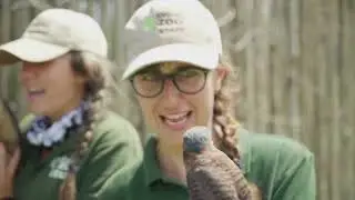 AAZK Video 2019