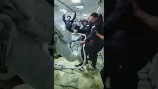 Fun Fact Astronauts In Space