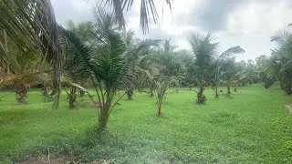 ID-07 ECR MARAKKANAM || 4 Acres FARMLAND || For Sale In Marakkanam || Free EB || Land Punjai