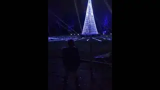 Bute park Christmas lights 2023 #butepark #christmas #lightshow #cardiff #christmaslights