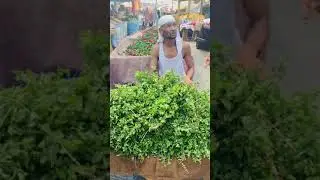 L7archa😂😂❤️funny videos 2021 Funny morocco funny fails moroccan