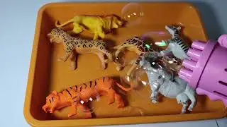 Animal toy blowing bubbles.&rdquo; ASMR 