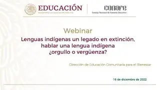 Lenguas ind&iacute;genas un legado en extinci&oacute;n, hablar una lengua ind&iacute;gena &iquest;orgullo o verg&uuml;enza?