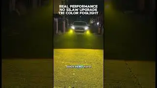 Super High Quality Led Bulb For You Car