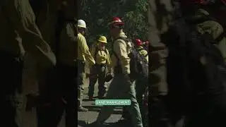 Контроль за задымлением при контролируемых пожарах