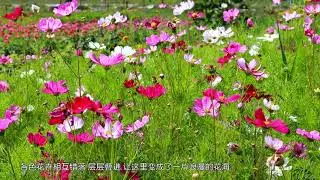 Fairytale border city in Burqin