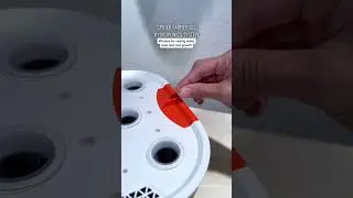 Spider Farmer Smart G12 Hydroponics System, a great helper for growing in winter