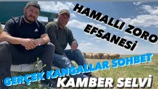 KAMBER SELVİ BARIŞ ÇİÇEK ÜRETİMİ HAMALLI ZORO VE GEÇMİŞ DÖNEM KANGALLAR SOYLARI SOHBET