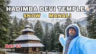 Manali Hadimba Temple to Mall Road Manali | Eating Siddu | Musafir Laddi