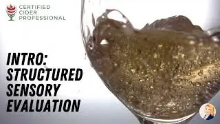 Introduction to structured sensory analysis