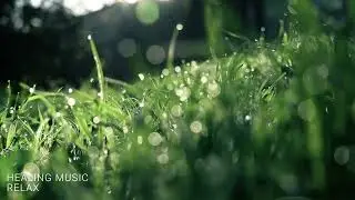 Classical Piano Music. ❤️☀️Relaxing Piano Music for sleep. Best Study Music. HEALING MUSIC RELAX 🥰❤️