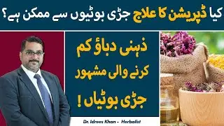 Best Herbs for Depression | Herbal Medicines for Depression Treatment