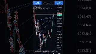 Imagine holding a trade for that long... zero emotions in trading for beginners