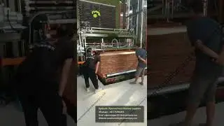 Plywood making machine/Unlocking Efficiency: China's Plywood Machine Technology