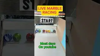 LIVE MARBLE RACING MOST DAYS. MARBLE RACE. MARBLE RUN.