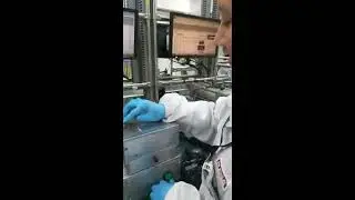 Plexus preeping dipart #plexus #company #ytshorts #reels #seaside #riverside #hillside #shivpujan21