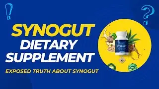SYNOGUT - Dietary Supplement Review 2024 | Unveiling the Secrets to Optimal Digestive Health!