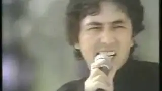 ＰＡＮＴＡ＆ＨＡＬ　臨時ニュース
