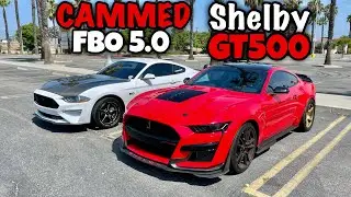 FBO CAMMED 10 Speed Mustang GT vs SHELBY GT500!