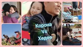 (🇰🇷🇲🇳sub) Солонгост хөдөө хүмүүс ингэж л амьдардаг🏡 | 가족❤  #part2