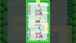 This Isn't Rattata (Pokemon Recolor)
