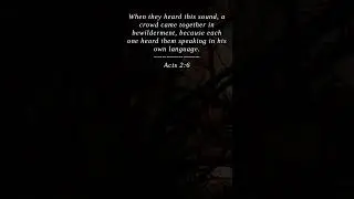 Bible | Acts 2:6 | When they heard this sound a c...