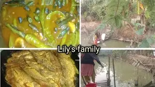 গ্রামের কর্মব্যস্ত সকাল# morning  routine#minivlog #vlog #familychannel #lilys #cooking 