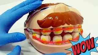 Teatrinho: Ed coloca aparelho *Play doh doctor dril brincando de dentista*