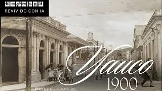Puerto Rico AI: Yauco