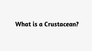 What is a Crustacean  ?