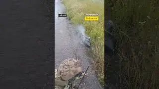 Ukrainian Soldier Destroys Russian FPV Drone #warinukraine