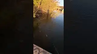 looking for fish on the dam #basslake #bassfishing #bait #nature #sportfishing #fishing #spottedbass