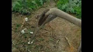 Pterosaur Ka Ant | Aasmaan Ka Samrat Dharti Par Gir Pada!#Dinosaur#Pterosaur#PrehistoricWorld#Extin