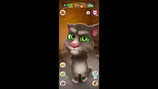 talking tom game