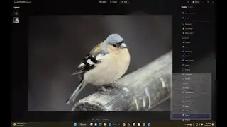 Luminar Neo SuperSharp