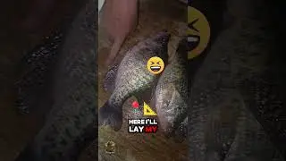 The bigguns were hungry that day 👌🎣🎣 just ask Timmy 😂 #fyp #contentcreator #fishing #funny #crappie