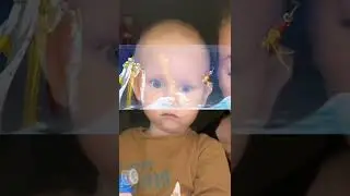 https://t.me/nicorobinfanstg