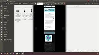Crawl Website & URL Screenshot with different size.
