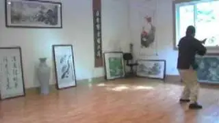 Liu Bin style Bagua Zhang