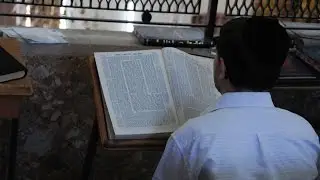 Torah Learning