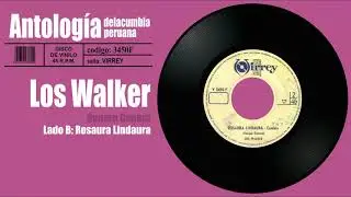 LOS WALKER - Rosaura lindaura / Disco de Vinilo 45RPM | Cumbia