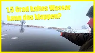Winterangeln am Fluss bei 1,5 Grad Wassertemperatur: Ist hier &uuml;berhaupt noch Leben?