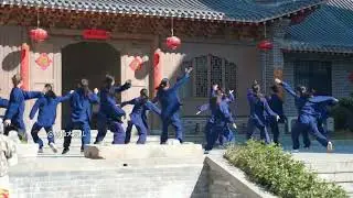 Wushu performance by student