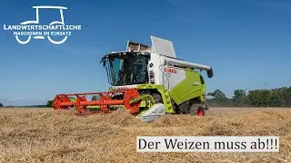 Weizenernte 2025 | Getreideernte mit einem Claas Tucano 320 Mähdrescher | Combine Harvester | 4K