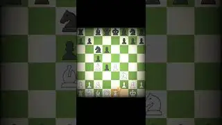 Knight brilliancy queen sacrifice 👍