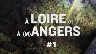 Dominique Hutin - 12,5° -  À Loire et à (m)Angers #1 - Bio conversion